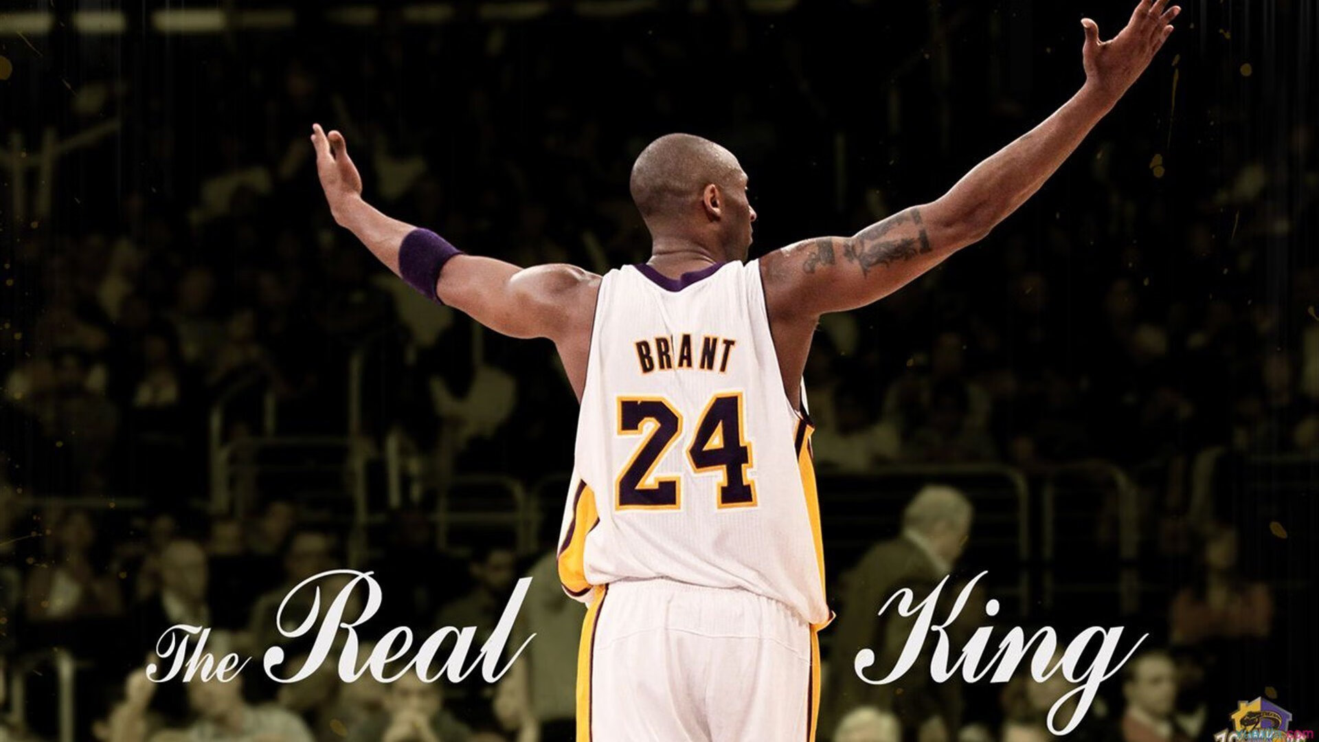 逆转与统治，体育精神的两种极致表达